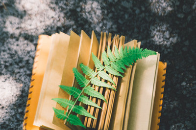 華東師范大學在職研究生