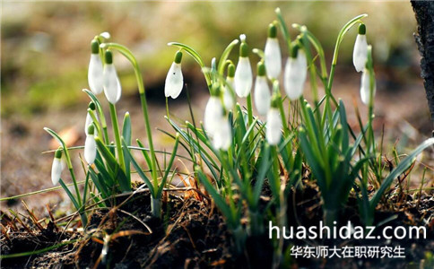 華東師范大學(xué)在職研究生在哪里報名