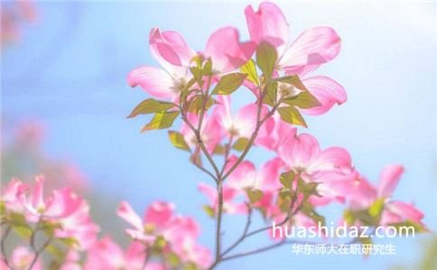 華東師范大學在職研究生要在哪里報名