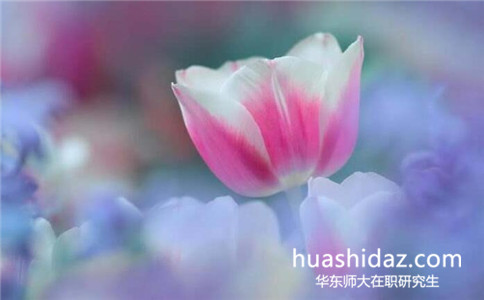 華東師范大學在職研究生報考條件是什么