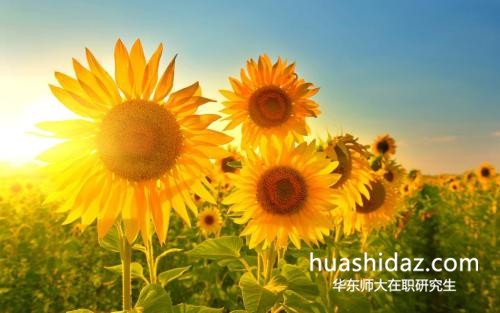 華東師范大學(xué)在職研究生招生人數(shù)有限制嗎?