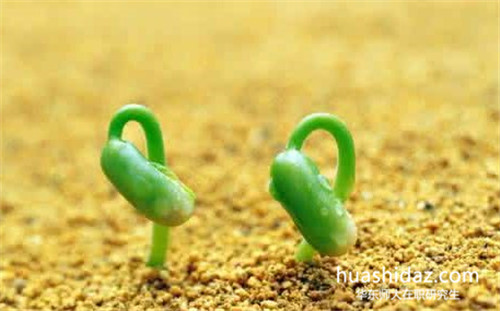 華東師范大學在職研究生學費高嗎?