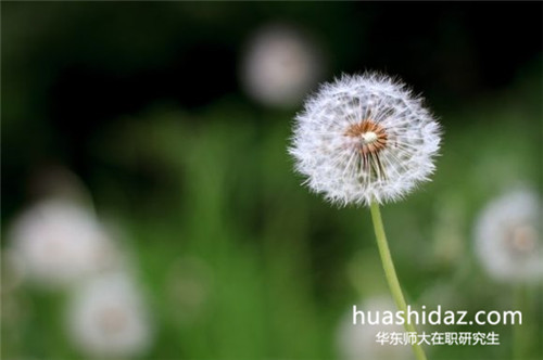 華東師范大學在職研究生需要脫產學習嗎？
