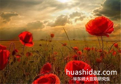 華東師范大學在職研究生是雙證考試嗎？